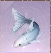 my-ultimate-2026-infinity-nikki-fishing-grind-unlocking-sketches-essences-and-the-coveted-rod-skin-image-2