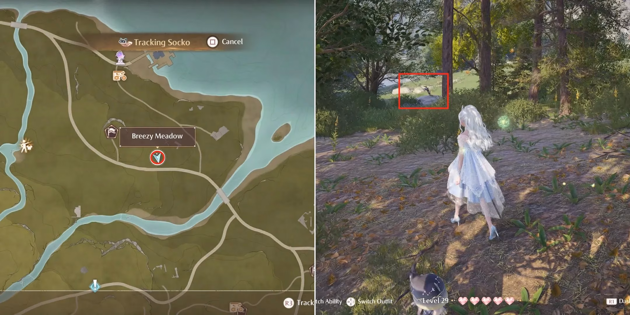 infinity-nikki-socko-guide-locations-catching-tips-and-respawn-mechanics-for-the-rare-insect-image-6