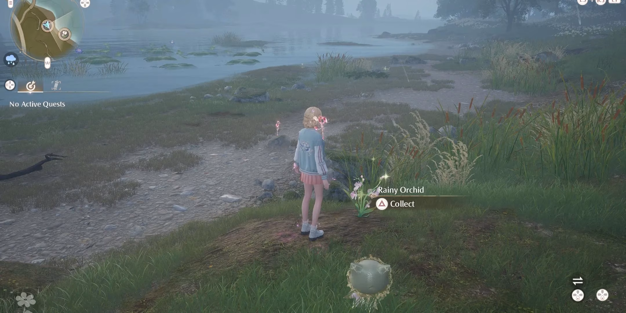 infinity-nikki-orchid-guide-sunny-vs-rainy-locations-uses-farming-tips-image-1