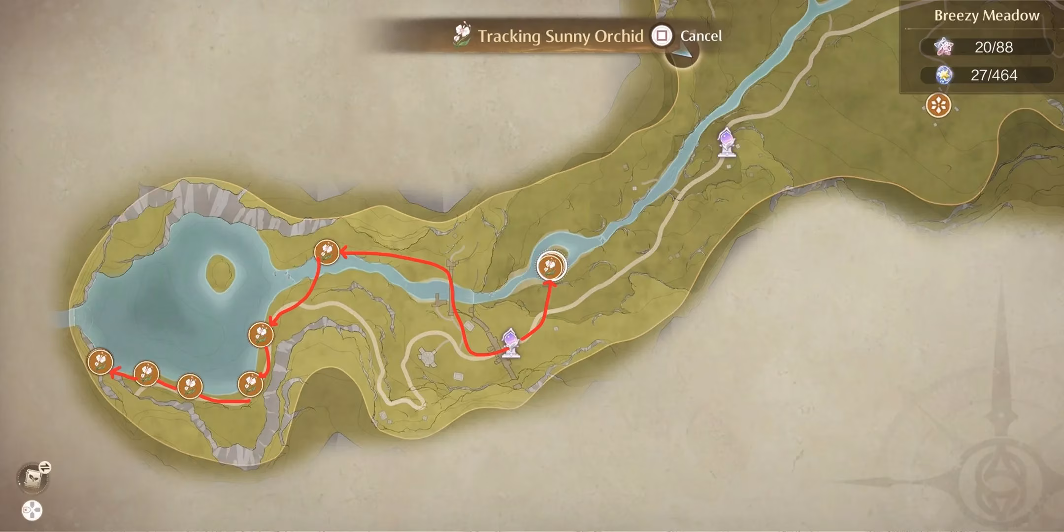 infinity-nikki-orchid-guide-sunny-vs-rainy-locations-uses-farming-tips-image-6