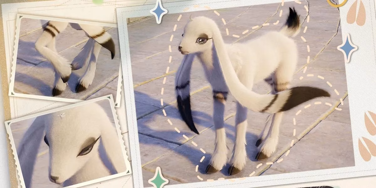 infinity-nikki-2026-your-ultimate-daily-animal-grooming-guide-for-rare-crafting-materials-image-2